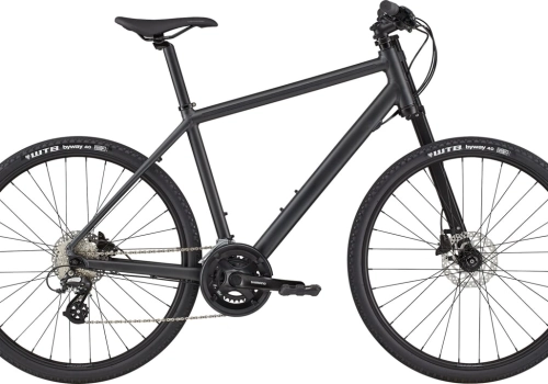 CANNONDALE BAD BOY 3 (C33300M10/BBQ)