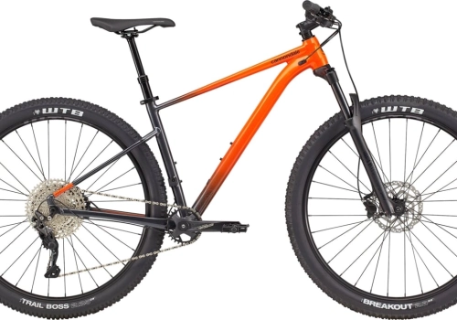 CANNONDALE TRAIL 29" SE 3 (C26301M10/IOR)