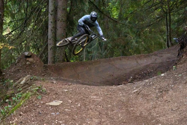 Mavic Deemax Dh Ylw 29 kotači