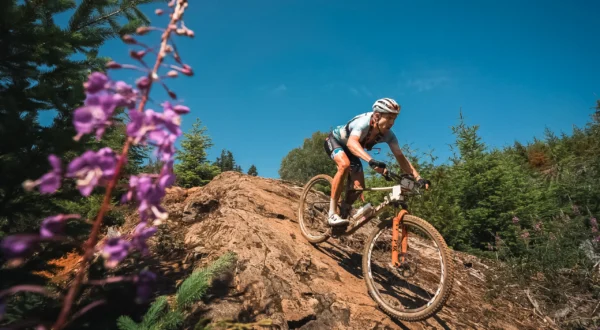 Factor Lando XC Fox